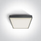 PIRNARI EA Ceiling Light 2x12W E27 IP65 White #1