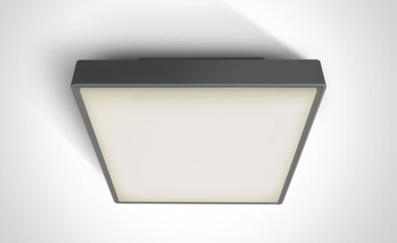 PIRNARI E Ceiling Light 12W E27 IP65 White