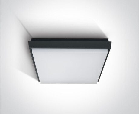 FASIDERI 20W 3000K IP54 Ceiling Light, White