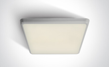 LIVISI 25W 4000K IP54 Ceiling Light, White