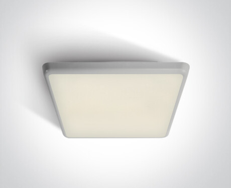 LIVISI 25W 4000K IP54 Ceiling Light, White