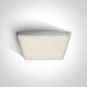 LIVISI 25W 4000K IP54 Ceiling Light, White #1