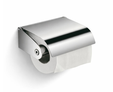 Toilet Paper Holder / Chrome
